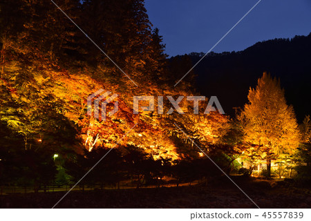 <秋葉> Koarashikei Momiji Ryokan 45557839