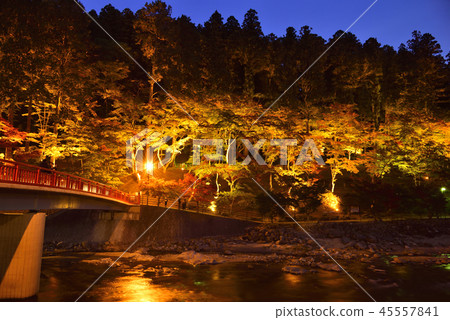 <秋葉> Koarashikei Momiji Ryokan <秋葉> Koarashikei Momiji Ryokan 45557841