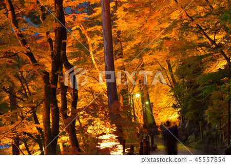 <Autumn leaves> Koarashikei Momiji Ryokan 45557854