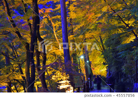 <秋葉> Koarashikei Momiji Ryokan 45557856