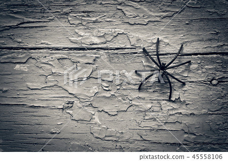 Halloween, Black spider, mystery, copy space, top view 45558106