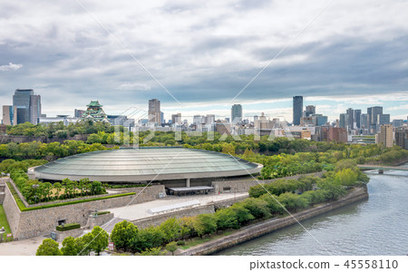 大阪城公園和城市景觀 45558110