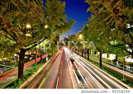 彩色城市景觀 45558244