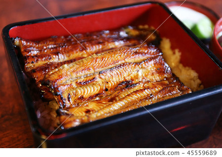 Grilled eel Grilled eel 45559689