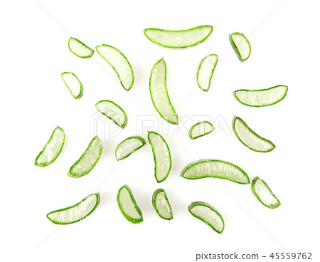 Aloe Vera Plant Isolated On White Background Aloe Vera Plant Isolated On White Background 45559762