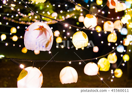 秋天,冬天和光神戶森林公園 秋天,冬天和光神戶森林公園 45560011