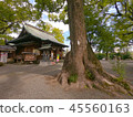 Kitaoka Shrine 45560163