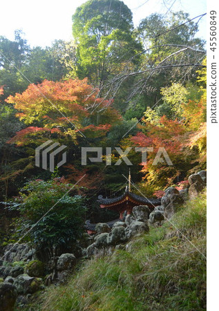 Atago Nenbutsuji Temple Atago Nenbutsuji Temple 45560849