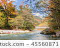 The leaves change color, autumn landscape. 45560871
