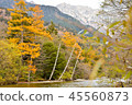 The leaves change color, autumn landscape. 45560873