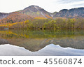 The leaves change color, autumn landscape. 45560874