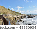 Beautiful Seascape scene. 45560934
