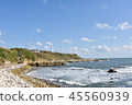 Beautiful Seascape scene. 45560939