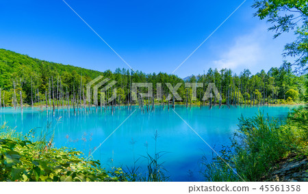 Blue Pond Biei-cho, Hokkaido 45561358