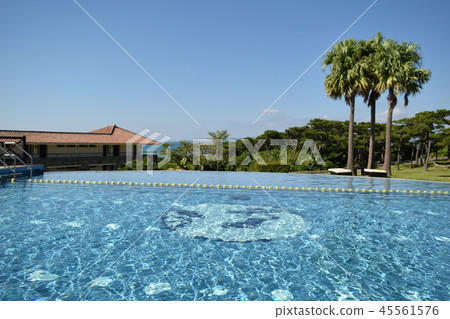 度假村泳池 45561576