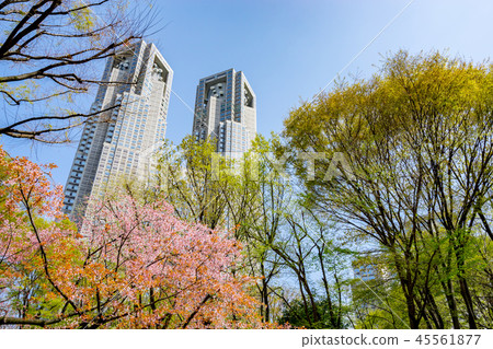 [Tokyo] City landscape 45561877