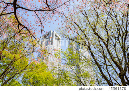 [Tokyo] City landscape 45561878