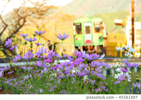 Autumn Tarumi Railway Autumn Tarumi Railway 45561897