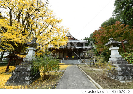 Saionji Temple 45562060