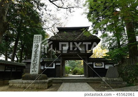 Saionji Temple Saionji Temple 45562061