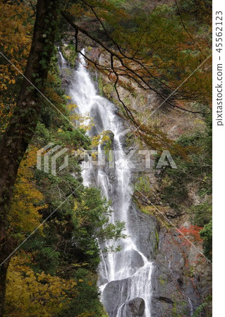 Kanba秋葉的秋天 45562123