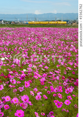 San-Ui鐵路的秋天 San-Ui鐵路的秋天 45562762