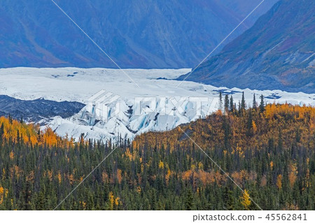 冰川冰Matanuska冰川在阿拉斯加 冰川冰Matanuska冰川在阿拉斯加 45562841