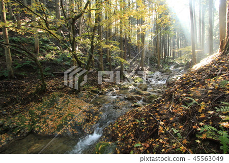 Togaki Valley Togaki Valley 45563049
