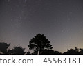 Northern sky 45563181
