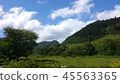 Nature in Hokkaido 45563365
