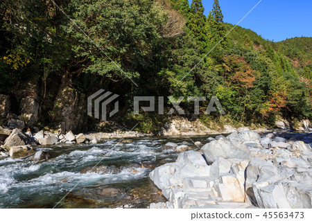 清流Itatorikawa岐阜縣 45563473