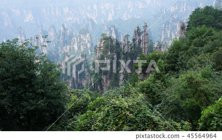 Wulingyuan 45564964