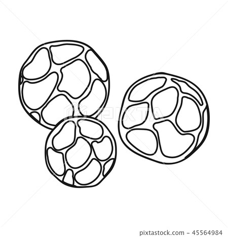 Black pepper icon in outline style isolated on white background. Herb an spices symbol stock vector Black pepper icon in outline style isolated on white background. Herb an spices symbol stock vector 45564984