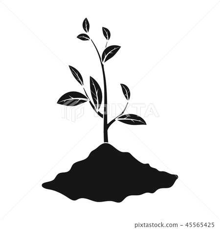 Sprout icon in black style isolated on white background. Bio and ecology symbol stock vector Sprout icon in black style isolated on white background. Bio and ecology symbol stock vector 45565425