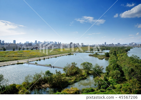 Johoku Wando group Johoku Wando group 45567206