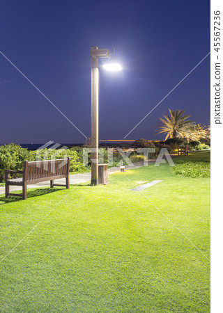 濟州島 濟州島 45567236