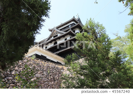 National treasure Matsue castle National treasure Matsue castle 45567240