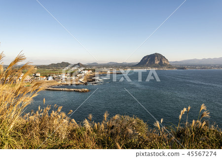 Jeju Island Jeju Island 45567274