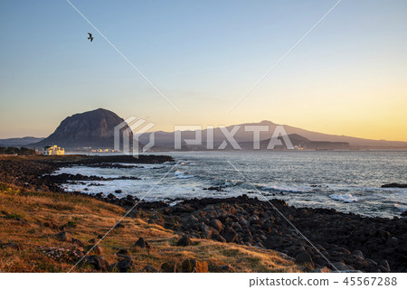 Jeju Island Jeju Island 45567288