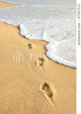 footprints on beach footprints on beach 45567522