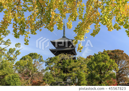 東寺寺秋葉 45567823