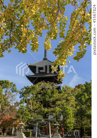 東寺寺秋葉 45567824