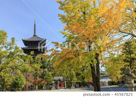 東寺寺秋葉 45567825