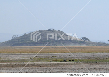 安博塞利國家公園觀察山 45567972