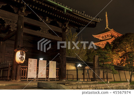 Toji Light Up Toji Light Up 45567974