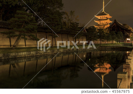 Toji Light Up Toji Light Up 45567975