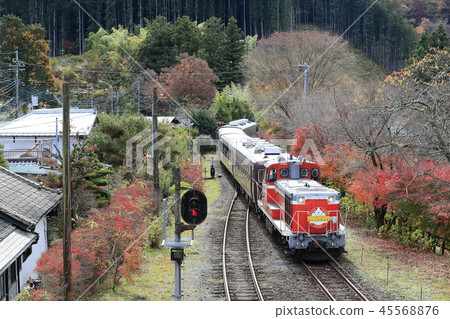 秋季葉子Watase谷鐵路 秋季葉子Watase谷鐵路 45568876