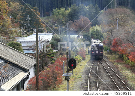 Autumnal leaves Watase Valley Railway Autumnal leaves Watase Valley Railway 45569511
