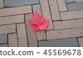 Red leaf fell on a brick road 45569678