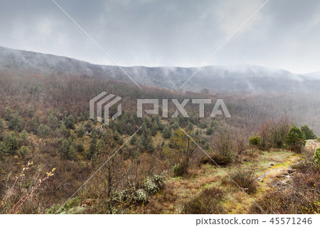 Mountain landscape in fog and clouds 45571246